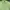Polo Ralph Lauren Casual T-shirt Pria green photo 4