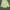Polo Ralph Lauren Casual T-shirt Pria green photo 2