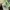Polo Ralph Lauren Casual T-shirt Pria green photo 8
