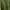 Laura Ashley Casual Cardigan Wanita green photo 2