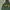 Sportswear Hoody Pria green photo 3
