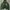 Sportswear Hoody Pria green photo 1