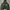 Sportswear Hoody Pria Green