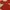 Luxury Casual Casual dress Wanita red photo 5