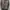 Lee Biker Denim jacket Pria gray photo 4