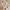 Casual Wanita white yellow photo 3