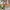 Casual Maxi dress Wanita cream photo 1