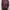 K2 Gorpcore Windbreaker Pria purple photo 7