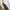 VANS Streetwear Skater Sneakers Pria black photo 1