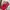 Kate Spade Luxury Wanita red photo 1