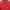 Casual Polo shirt Pria red photo 1