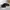 Nike Skater Casual Casual shoe Pria white black photo 4