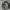 Streetwear Casual Puffer jacket Pria gray photo 1