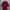 Casual Polo shirt Pria burgundy photo 1