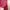 Casual Polo shirt Pria burgundy photo 2