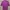 Casual Blouse Wanita purple photo 2