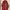 Hai Sporting Gear Casual Puffer jacket Pria brown photo 1