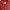Hai Sporting Gear Casual Puffer jacket Pria brown photo 5