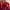 Kolon Sport Futurist Casual Windbreaker Pria purple red photo 3