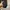 Descente Gorpcore Sportswear Tracksuit Pria black photo 7