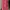 ZARA Casual Culotte Wanita pink photo 4