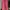 ZARA Casual Culotte Wanita pink photo 3