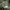 Japanese brand Avant Garde Formal shirt Pria green photo 5
