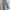 Vintage Y2K Jeans Pria green photo 1