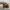 VANS Streetwear Y2K Sneakers Pria black photo 3