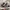 VANS Streetwear Y2K Sneakers Pria black photo 2