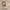 Tory Burch Vintage Casual Handbag Wanita brown photo 3