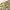 Y2K Lolita Skirt Wanita Tan Cream