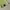 Y2K Lolita T-shirt Wanita green yellow photo 4