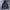 Kolon Sport Luxury Track jacket Pria navy blue photo 1