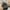 Vintage Streetwear Pria black photo 1