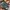 Vintage Streetwear Pria black photo 3