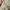 Vintage Streetwear Pria black photo 5