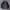 Uniqlo Luxury Casual Parka Pria black photo 2