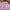 Adidas Streetwear Y2K Hoody Wanita purple photo 4