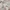 Coach Y2K Luxury Shirt Wanita multicolor photo 4