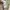 Coach Y2K Luxury Shirt Wanita multicolor photo 7