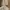 Casual Culotte Wanita cream photo 2