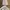 Casual Culotte Wanita cream photo 2
