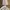 Casual Culotte Wanita Cream