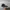 Converse Casual Sneakers Pria white black photo 3