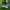 Nike Casual Sneakers Pria white black photo 4