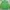 Sportswear Windbreaker Pria green photo 2