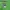 Sportswear Windbreaker Pria green photo 4