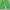 Sportswear Windbreaker Pria green photo 3