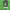 Sportswear Windbreaker Pria green photo 5